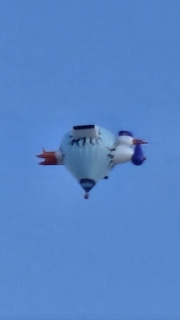 20251010_080030