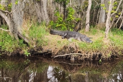 20240310_131131 20240310_131131