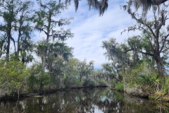 20240310_131230 20240310_131230