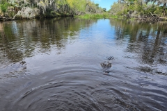 20240310_131907 20240310_131907