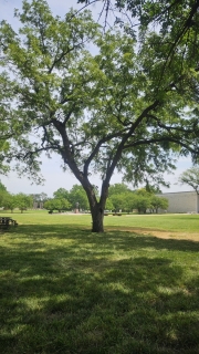 20250611_142306