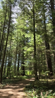 20260524_131130