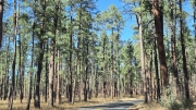 20251115_121711