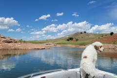 JPEG_20220702_151633