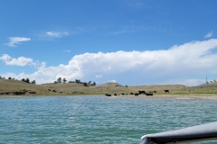 JPEG_20220701_144445