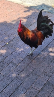 20240506_135630