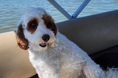 20230827_111854 20230827_111854