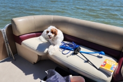 20230827_115901 20230827_115901