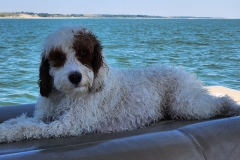 20230827_130745 20230827_130745