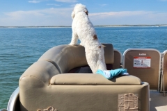 20230827_154208 20230827_154208