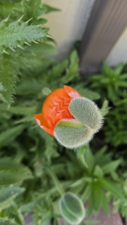 20260511_182947