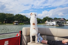 20241004_143509 20241004_143509