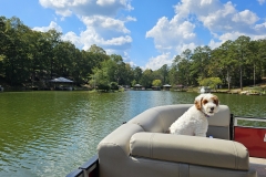 20241006_135336 20241006_135336