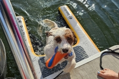 20241006_162357 20241006_162357