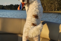 20241006_172555 20241006_172555