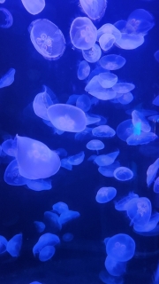 20230819_125845