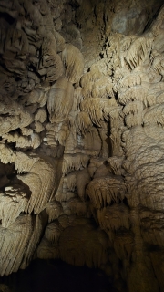 20260510_123008