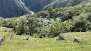 IMG_2642_00