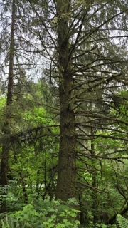 20260509_124825