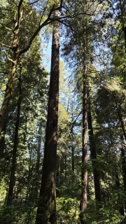 20260509_105947