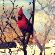 IMG_20230214_123410_890