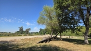 20260405_100746