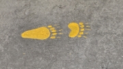 20251020_151633