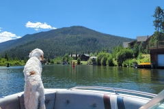 20220809_120536 20220809_120536