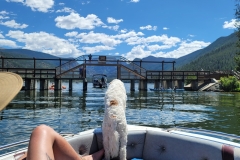 20220809_120701 20220809_120701