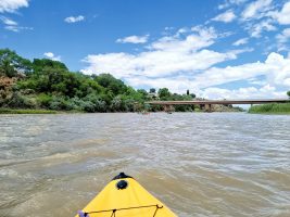 Colorado River Float