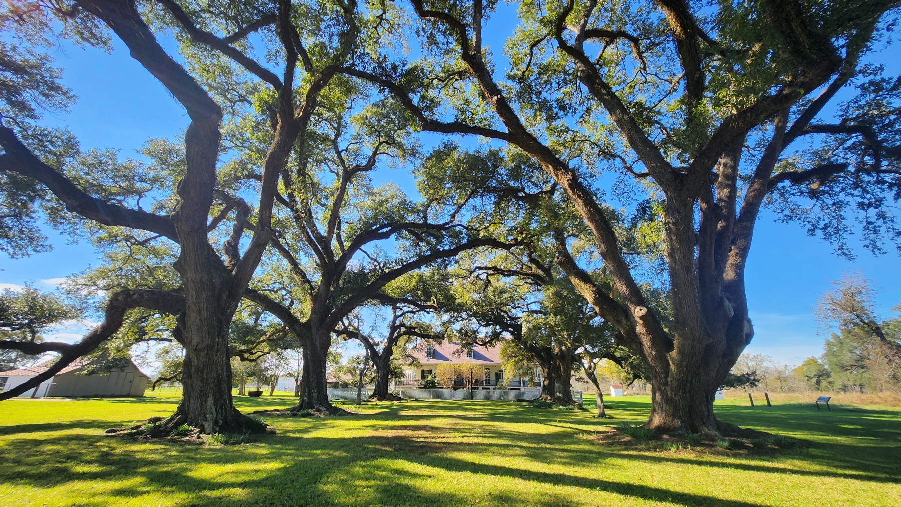 Trip Through Texas