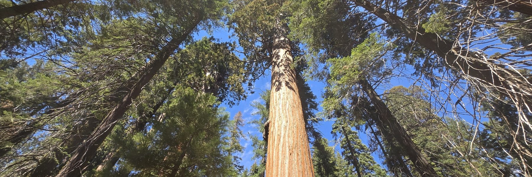 Central Valley, California